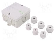 Enclosure: junction box; X: 94mm; Y: 94mm; Z: 56mm; polystyrene; IP54 SPELSBERG