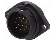 Connector: circular; socket; male; PIN: 12; IP68; SP21; 5A; 400V WEIPU