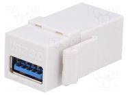 Coupler; socket; female x2; USB A socket x2; Keystone; straight 