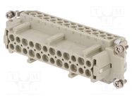 Connector: HDC; contact insert; female; DE; PIN: 24; 24+PE; 16A; 500V DEGSON ELECTRONICS