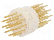 Connector: M23; contact insert; PIN: 17; male; THT; M23 Signal; 8A HARTING