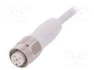 Connection lead; M12; PIN: 4; straight; 5m; plug; 250VAC; 4A; 250VDC LAPP