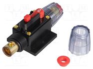 Fuse: automatic; automotive; 80A; black; 12÷24VDC; 4.2x10x4.2mm 