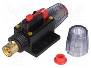 Fuse: automatic; automotive; 60A; black; 12÷24VDC; 4.2x10x4.2mm 4CARMEDIA