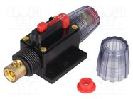 Fuse: automatic; automotive; 20A; black; 12÷24VDC; 4.2x10x4.2mm 4CARMEDIA