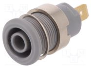 Connector: 4mm banana; socket; 24A; 1kV; Cutout: Ø12.2mm; grey STÄUBLI