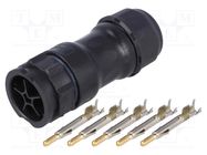 Connector: circular; plug; for cable; PIN: 5; male; with contacts AMPHENOL LTW