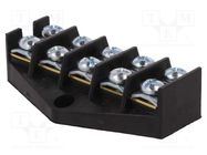 Terminal block; screw terminal; 10mm2; 57A; ways: 5; terminals: 10 