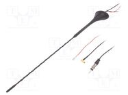 Antenna; 0.41m; AM,DAB,FM; with amplifier; 5m; 10dB; 12VDC 4CARMEDIA