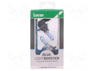 Filament lamp: automotive; P20d; white-blue; 12V; 60W; BLUE LUCAS