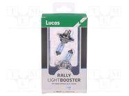 Filament lamp: automotive; PX26d; dark blue; 12V; 100W; RALLY LUCAS