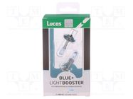 Filament lamp: automotive; P14,5s; white-blue; 12V; 55W LUCAS