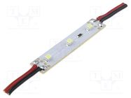 LED; white warm; 0.24W; 12VDC; 16lm; 120°; No.of diodes: 3; 50x10mm OPTOFLASH