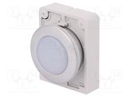 Control lamp; 30mm; RMQ-Titan; -25÷70°C; Illumin: M22-LED; Ø30.5mm EATON ELECTRIC