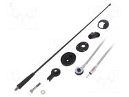 Antenna; car top,automotive; 400mm; AM,FM; universal; 2.45m MTA