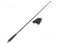 Antenna; car top,automotive; 400mm; AM,FM; Ford; Ømount.hole: 8mm MTA