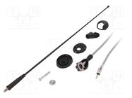 Antenna; car top; 0.41m; AM,FM; Alfa Romeo,Fiat,Lancia; 2.7m CALEARO