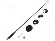 Antenna; car top,automotive; 400mm; AM,FM; Ømount.hole: 10.2mm MTA