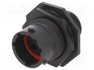 Connector: circular; socket; for panel mounting,front side nut AMPHENOL