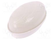 Lamp: lighting fixture; PUMA OVAL; polycarbonate; E27; IP65; oval PAWBOL