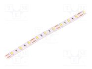 LED tape; white warm; 5630; LED/m: 60; 10mm; white PCB; IP20; 18W/m WISVA OPTOELECTRONICS