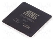 IC: ARM7TDMI microcontroller; LQFP176; 2.7÷3.6VDC; 8kBSRAM; AT91 