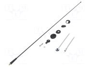 Antenna; car top,automotive; 850mm; AM,FM; universal; 2.7m MTA