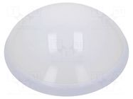 Lamp: LED lighting fixture; PANTERA LED; polycarbonate; 4000K PAWBOL