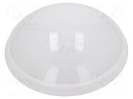 Lamp: LED lighting fixture; PANTERA LED; polycarbonate; 4000K PAWBOL