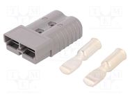 Connector: wire-wire; plug; SB® 350; hermaphrodite; PIN: 2; crimped ANDERSON POWER PRODUCTS