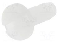 Screw; M2.5x8; Head: cheese head; slotted; plastic; natural ESSENTRA