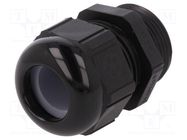 Cable gland; PG21; IP68; polyamide; black; Resistance to: UV rays LAPP