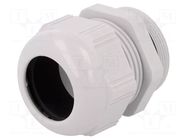 Cable gland; PG42; IP68; polyamide; light grey; SKINTOP® LAPP