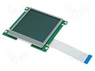 Display: LCD; graphical; 160x160; COG,FSTN Positive; LED; PIN: 18 RAYSTAR OPTRONICS