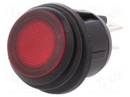 ROCKER; DPST; Pos: 2; ON-OFF; 20A/12VDC; red; IP65; LED; R13-244-DC SCI