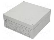 Enclosure: junction box; X: 300mm; Y: 300mm; Z: 132mm; polystyrene SPELSBERG