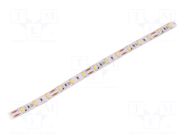 LED tape; white neutral; 5630; LED/m: 60; 10mm; white PCB; IP20 WISVA OPTOELECTRONICS