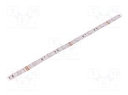 LED tape; RGB; 5050; 12V; LED/m: 30; 10mm; white PCB; IP20; 7.2W/m WISVA OPTOELECTRONICS