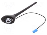 Antenna; car top,automotive; 0.175m; AM,FM; Opel; with amplifier 4CARMEDIA