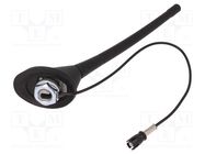 Antenna; car top; 175mm; AM,FM; VW; with amplifier; 0.3m 4CARMEDIA