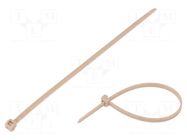 Cable tie; L: 145mm; W: 3.4mm; beige; PEEK; 230N; Ømax: 35mm; UL94V-0 HELLERMANNTYTON