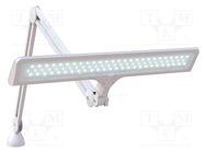 Lamp: bench; 6000K; W: 510mm; 15W; 230VAC; Plug: EU; CRImin: 80; white DAYLIGHT COMPANY