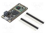 Controller; wireless; ARM Cortex-M0,ATSAMD21G18; 3.3÷5VDC; PWM: 8 ADAFRUIT