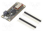 Controller; wireless; ATMEGA32U4; 3.3VDC; PWM: 7; Analog in: 10 ADAFRUIT