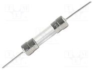 Fuse: fuse; quick blow; 800mA; 250VAC; ceramic,cylindrical; 5x20mm SCHURTER