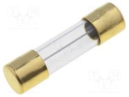 Fuse: fuse; time-lag; 5A; 250VAC; SMD; cylindrical,glass; 5x20mm SCHURTER