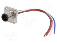 Connector: M12; socket; PIN: 4; male; D code-Ethernet; IP67; 250V; 4A DEGSON ELECTRONICS