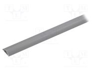 Closed cable trunkings; grey; L: 1m; Mat: PVC; H: 6mm; W: 20mm; H1: 4mm 