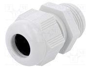 Cable gland; M20; IP68; plastic; grey ILME