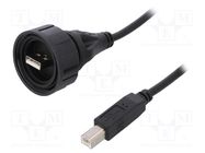 Cable; USB Buccaneer; USB A plug,USB B plug; 2m; IP68 BULGIN